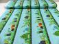 Preview: Frogtastic Benartex Patchworkstoff mit Schildkröten Frosch Bordüre türkis